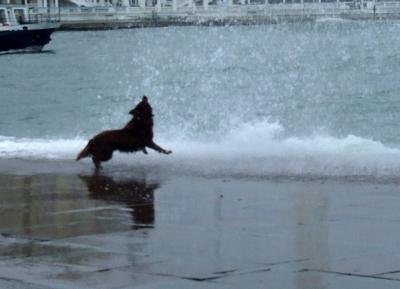 Прикрепленное изображение: A070.jpg